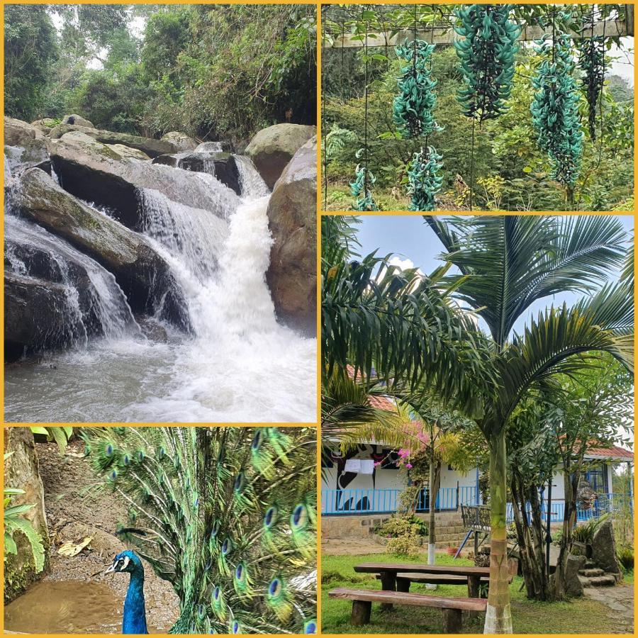 Finca Jardin Del Agua Sasaima Exteriér fotografie
