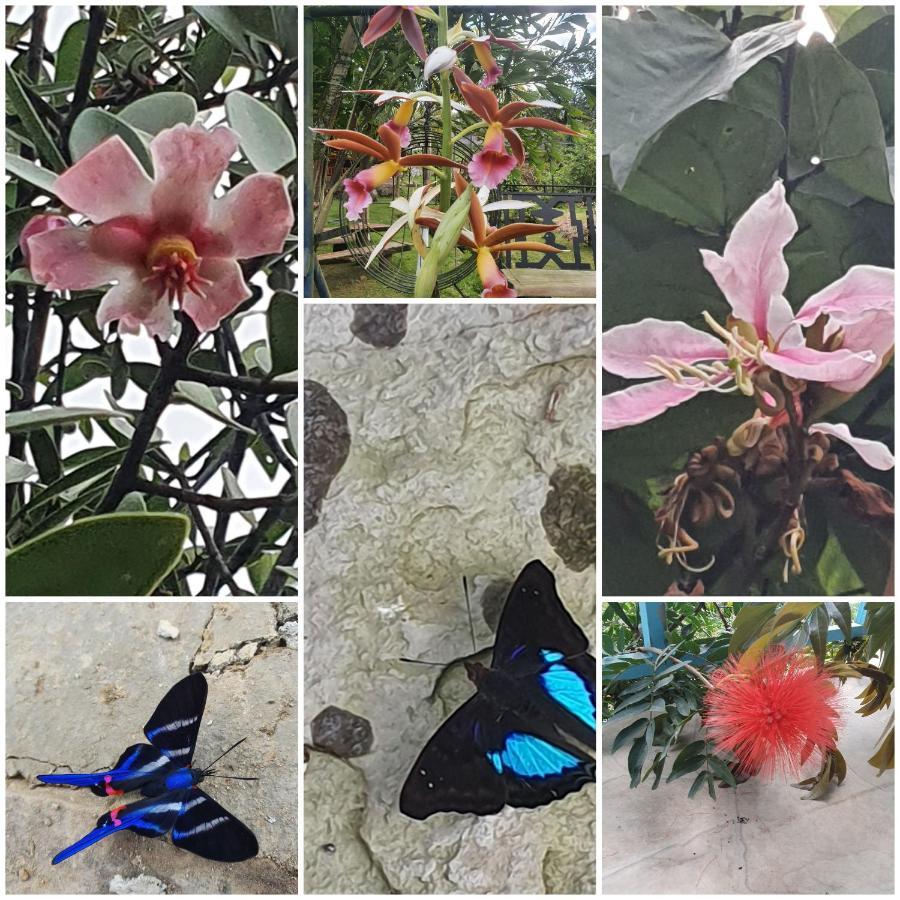Finca Jardin Del Agua Sasaima Exteriér fotografie