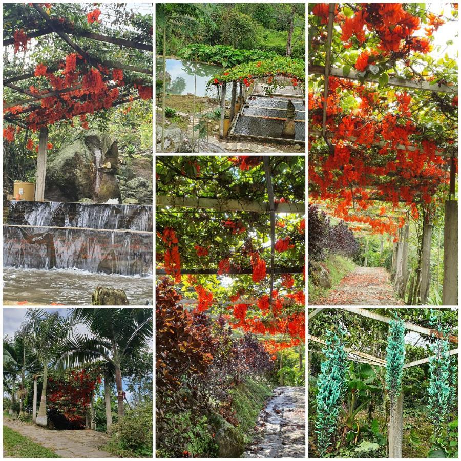 Vila Finca Jardin Del Agua Sasaima Exteriér fotografie