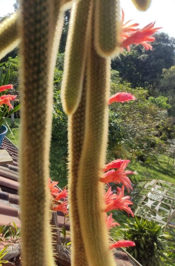 Vila Finca Jardin Del Agua Sasaima Exteriér fotografie