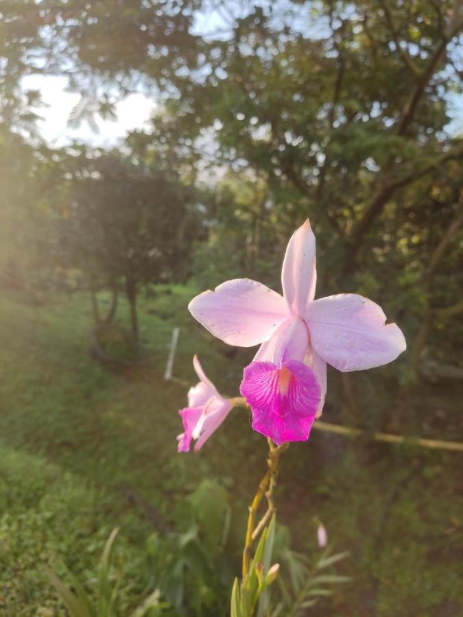 Vila Finca Jardin Del Agua Sasaima Exteriér fotografie