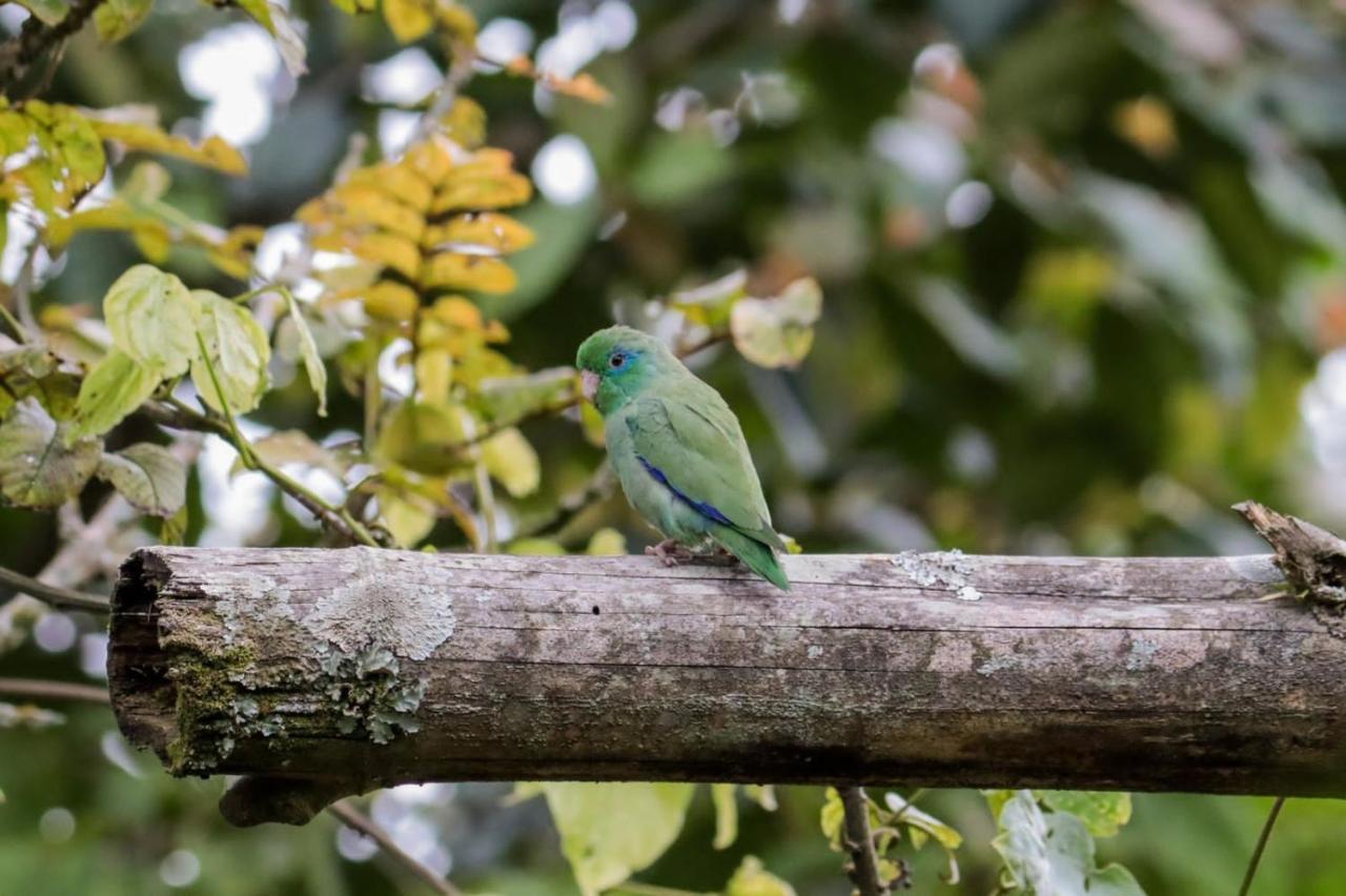 Vila Finca Jardin Del Agua Sasaima Exteriér fotografie