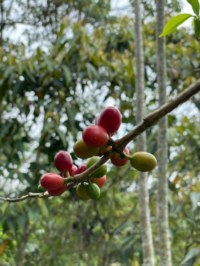 Vila Finca Jardin Del Agua Sasaima Exteriér fotografie