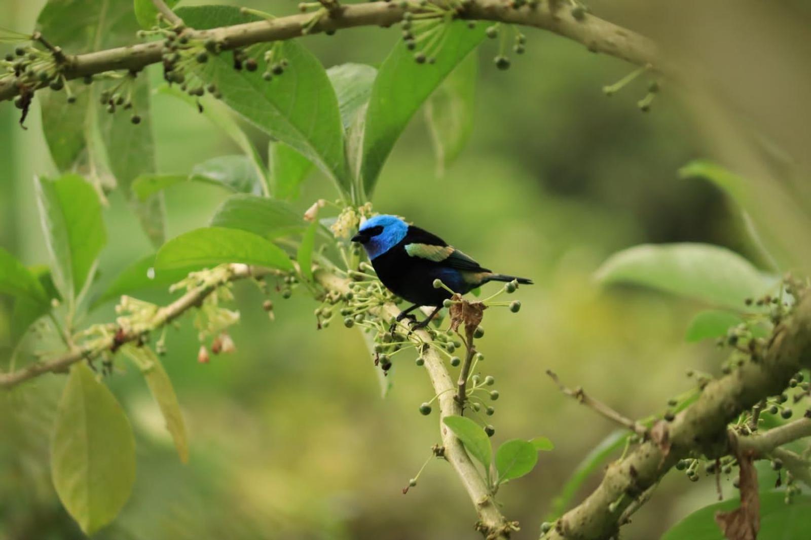 Vila Finca Jardin Del Agua Sasaima Exteriér fotografie