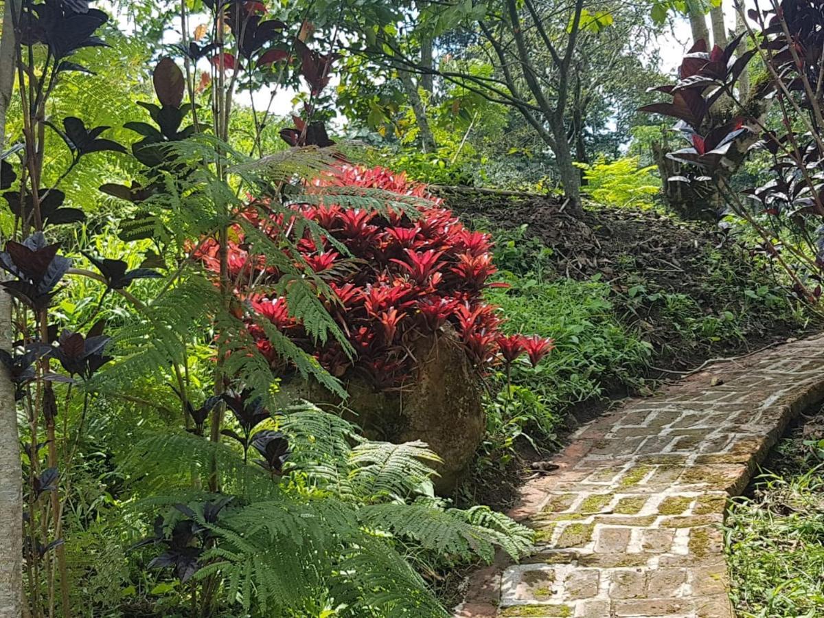 Vila Finca Jardin Del Agua Sasaima Exteriér fotografie