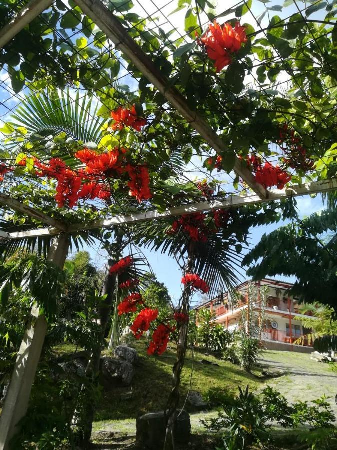 Finca Jardin Del Agua Sasaima Exteriér fotografie