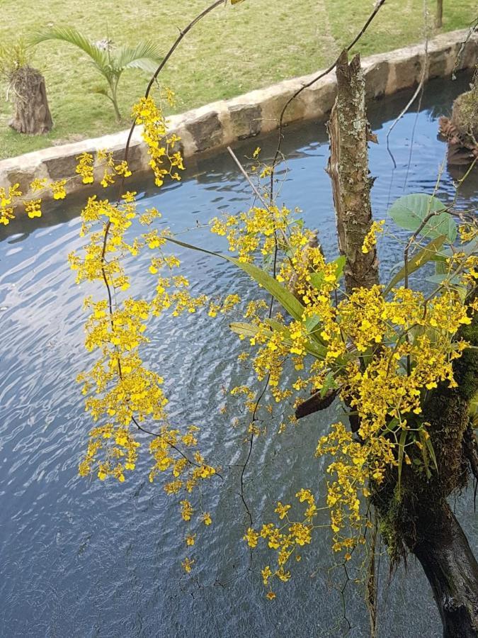 Vila Finca Jardin Del Agua Sasaima Exteriér fotografie