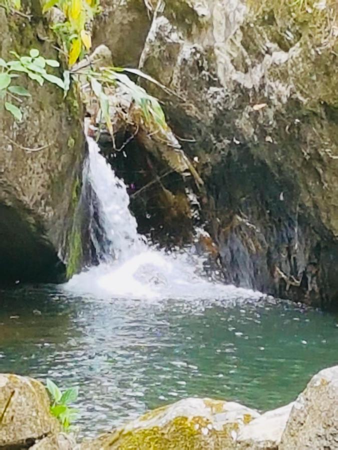 Vila Finca Jardin Del Agua Sasaima Exteriér fotografie