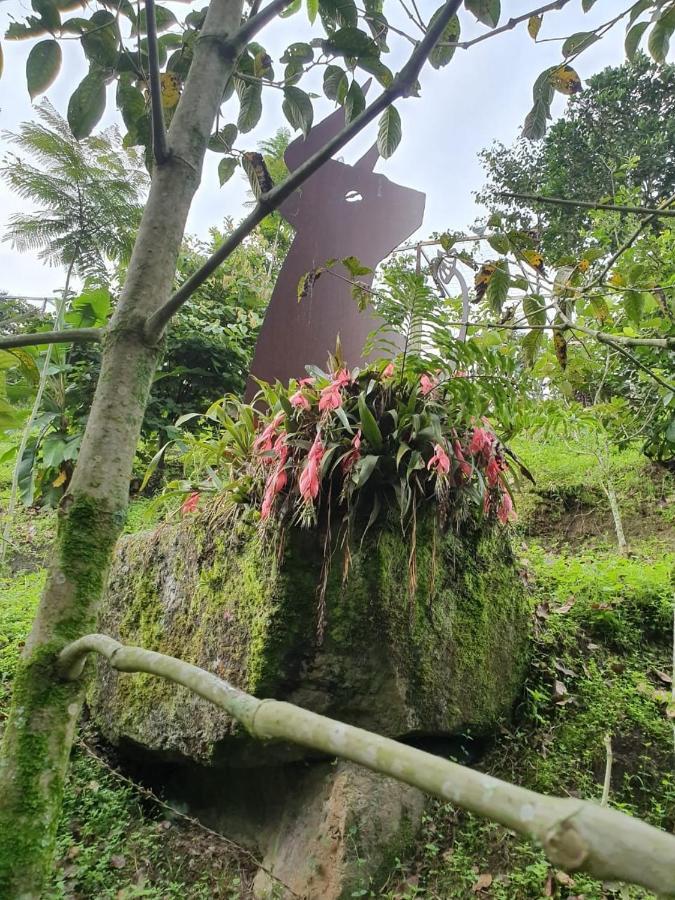 Vila Finca Jardin Del Agua Sasaima Exteriér fotografie