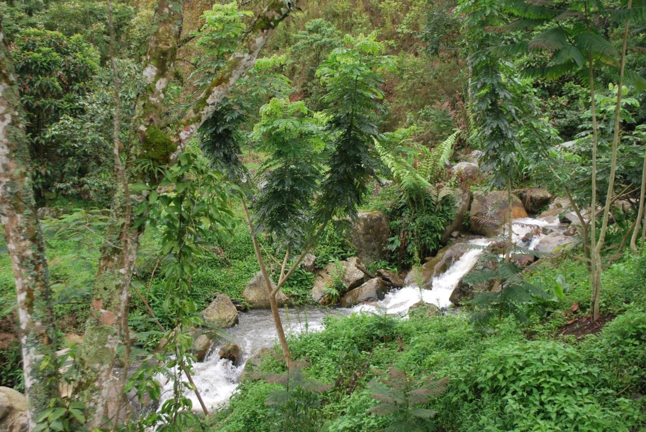 Vila Finca Jardin Del Agua Sasaima Exteriér fotografie