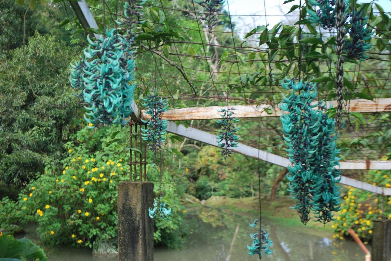 Vila Finca Jardin Del Agua Sasaima Exteriér fotografie