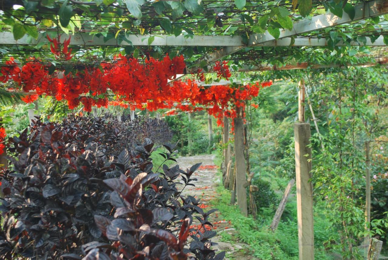 Vila Finca Jardin Del Agua Sasaima Exteriér fotografie