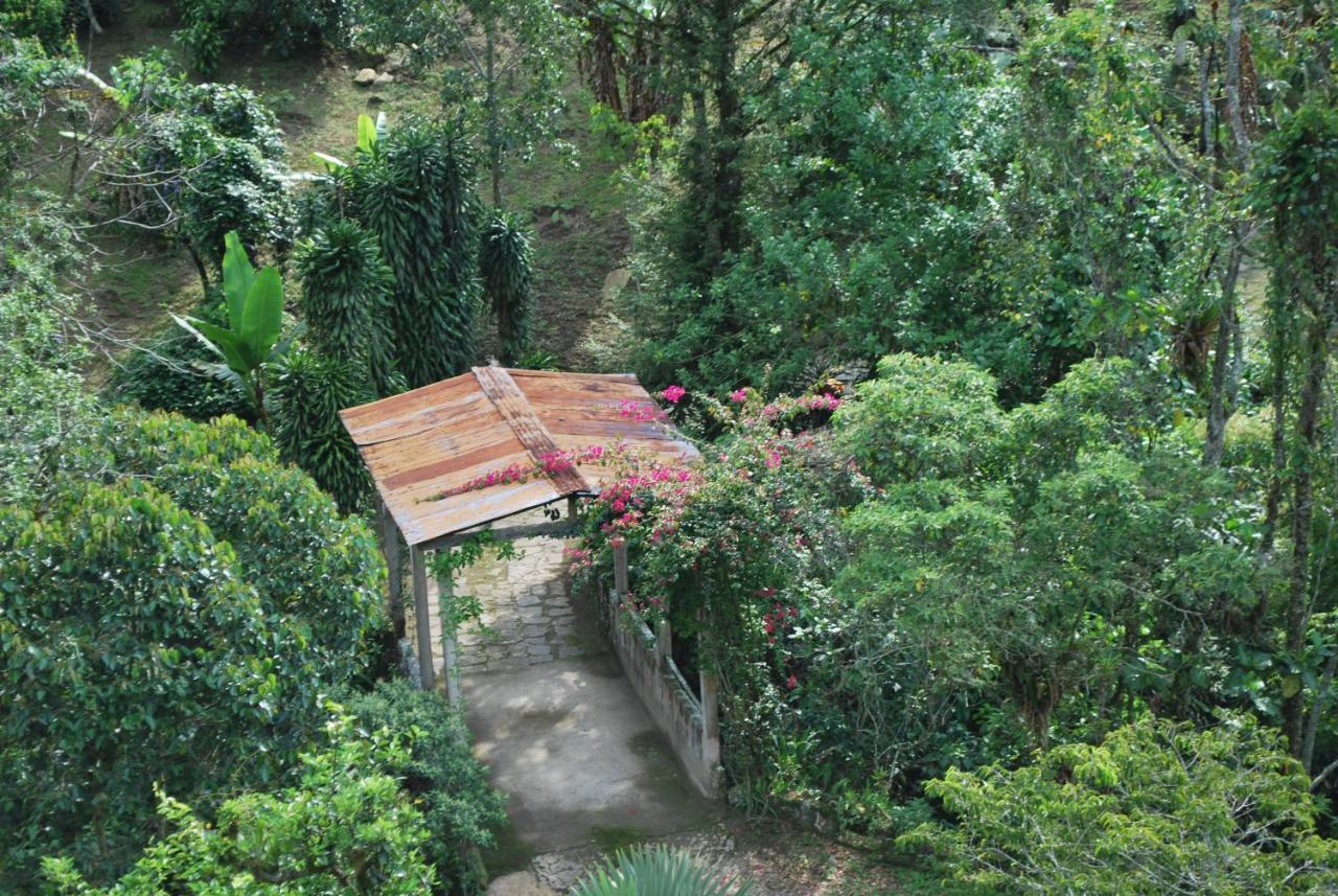 Vila Finca Jardin Del Agua Sasaima Exteriér fotografie