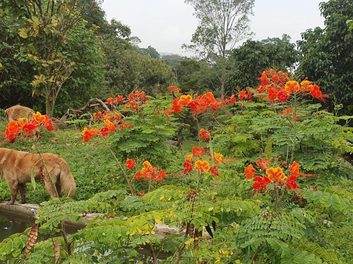 Vila Finca Jardin Del Agua Sasaima Exteriér fotografie